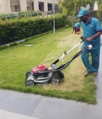 Grass Cutter