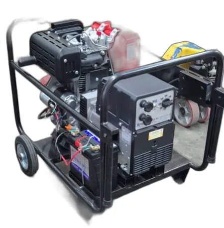 WS-220DC Welding Machine